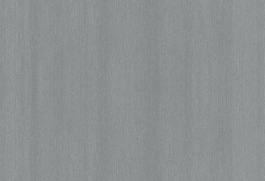 HookedOnWalls Passe Partout 2025 Tone on Tone Tone on Tone behang 4526Afbeelding 1