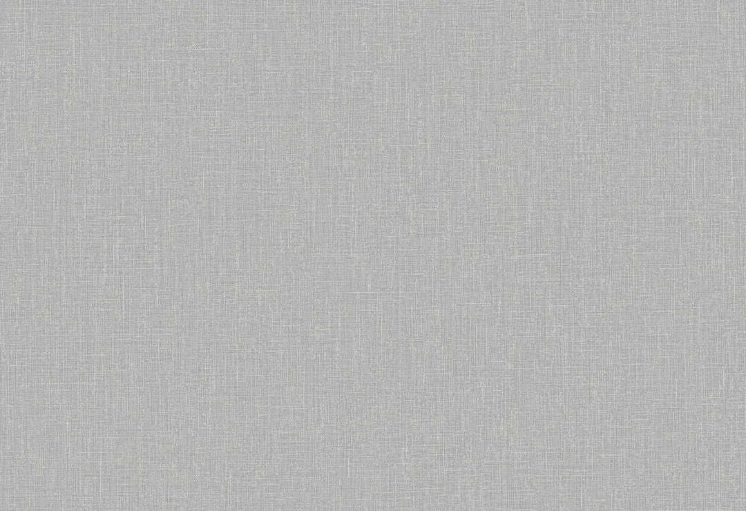 HookedOnWalls Passe Partout 2025 Tone on Tone Tone on Tone behang 4522Afbeelding 1