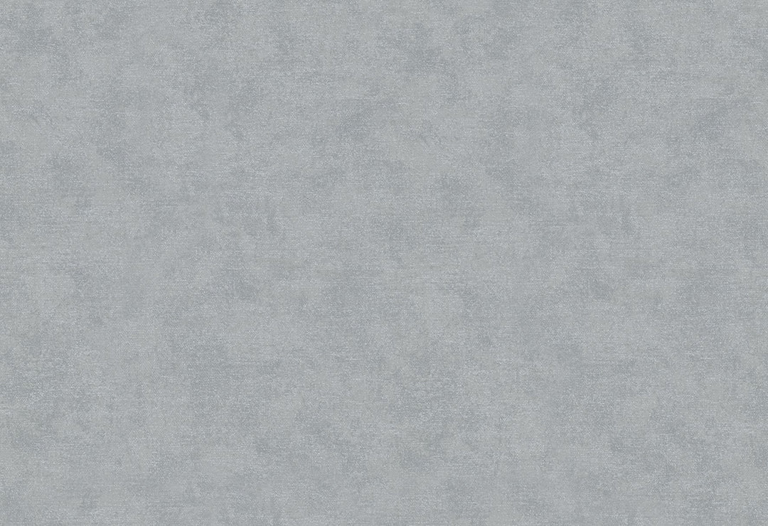 HookedOnWalls Passe Partout 2025 Tone on Tone Tone on Tone behang 4523Afbeelding 1