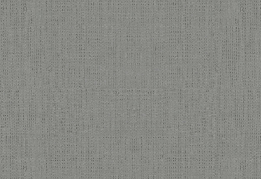 HookedOnWalls Passe Partout 2025 Tone on Tone Tone on Tone behang 4528Afbeelding 1