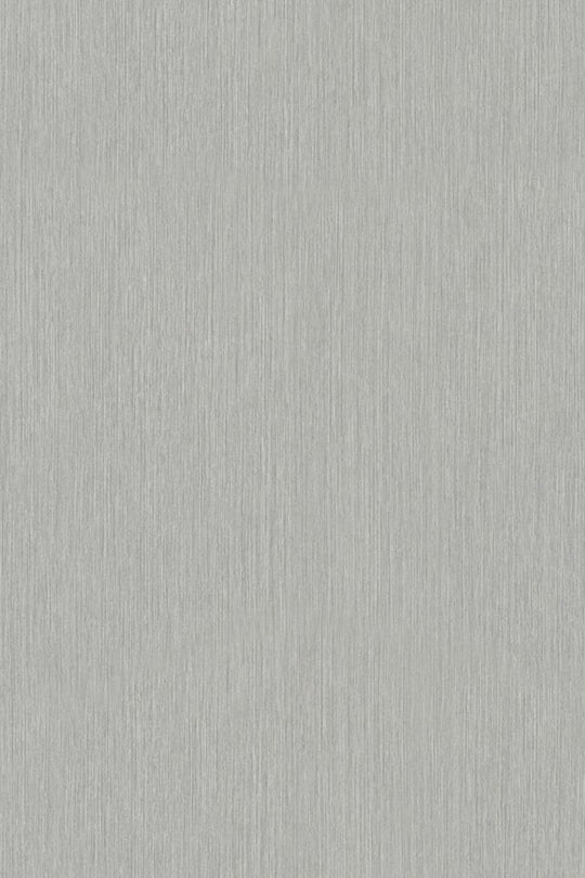 HookedOnWalls Passe Partout 2025 Tone on Tone Tone on Tone behang 4520Afbeelding 3