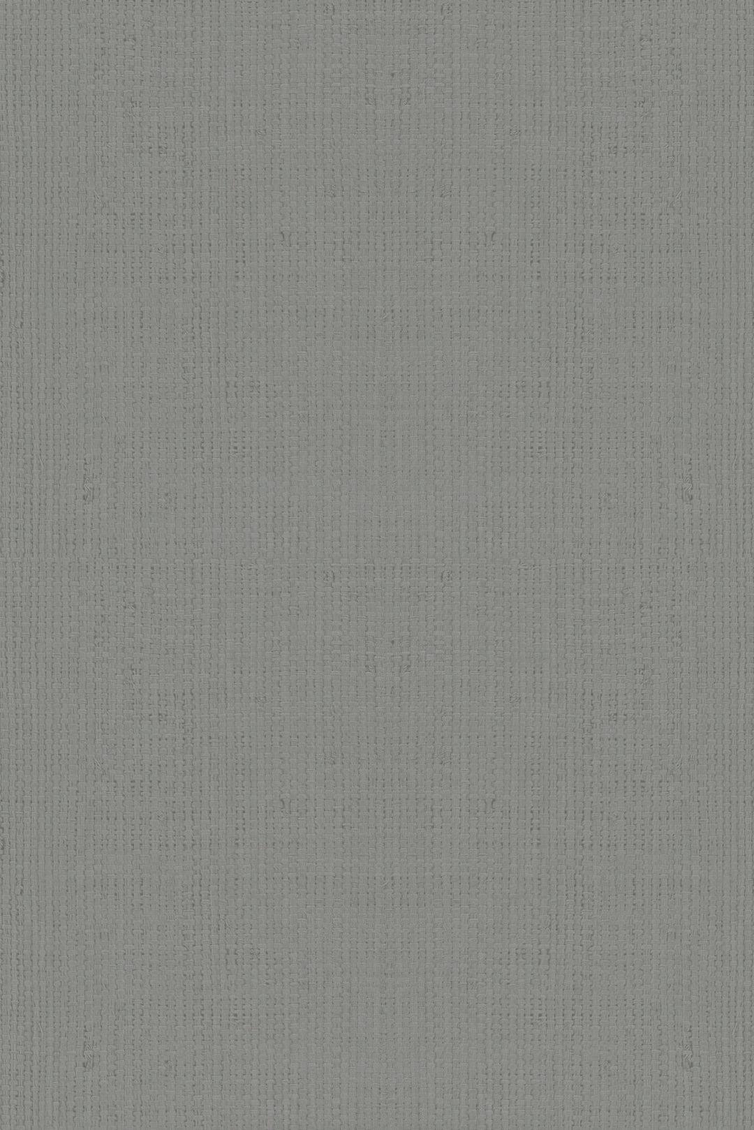HookedOnWalls Passe Partout 2025 Tone on Tone Tone on Tone behang 4528Afbeelding 3