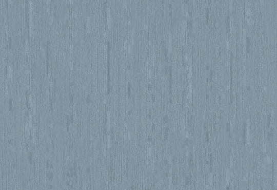 HookedOnWalls Passe Partout 2025 Tone on Tone Tone on Tone behang 4532Afbeelding 1
