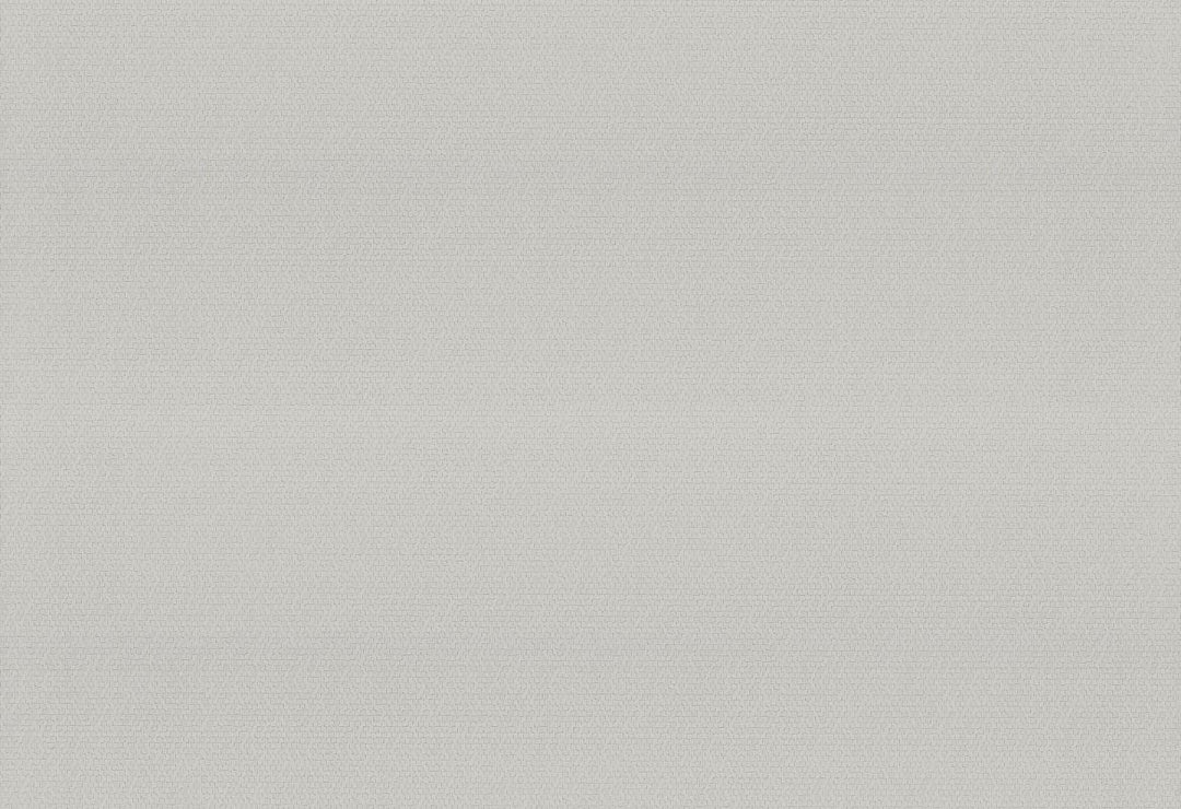 HookedOnWalls Passe Partout 2025 Tone on Tone Tone on Tone behang 4539Afbeelding 1