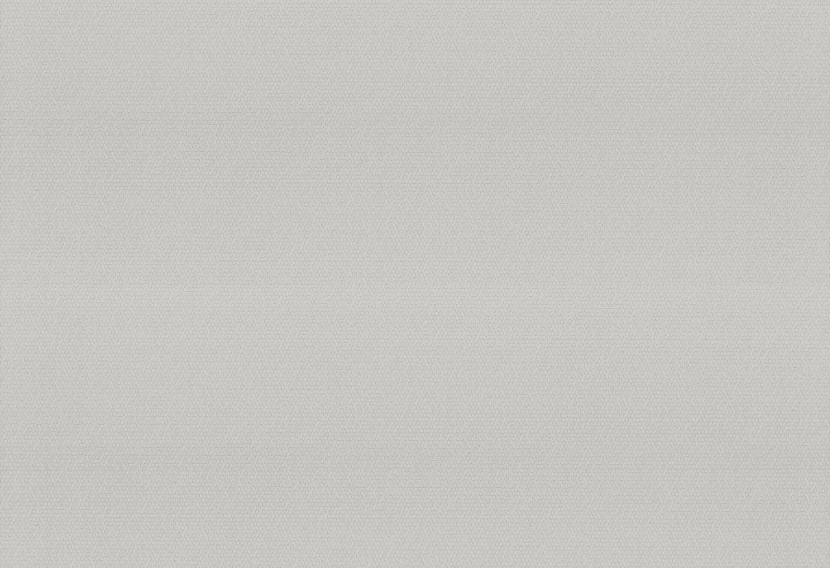 HookedOnWalls Passe Partout 2025 Tone on Tone Tone on Tone behang 4539Afbeelding 1