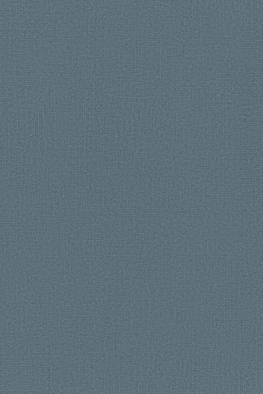 HookedOnWalls Passe Partout 2025 Tone on Tone Tone on Tone behang 4533Afbeelding 3