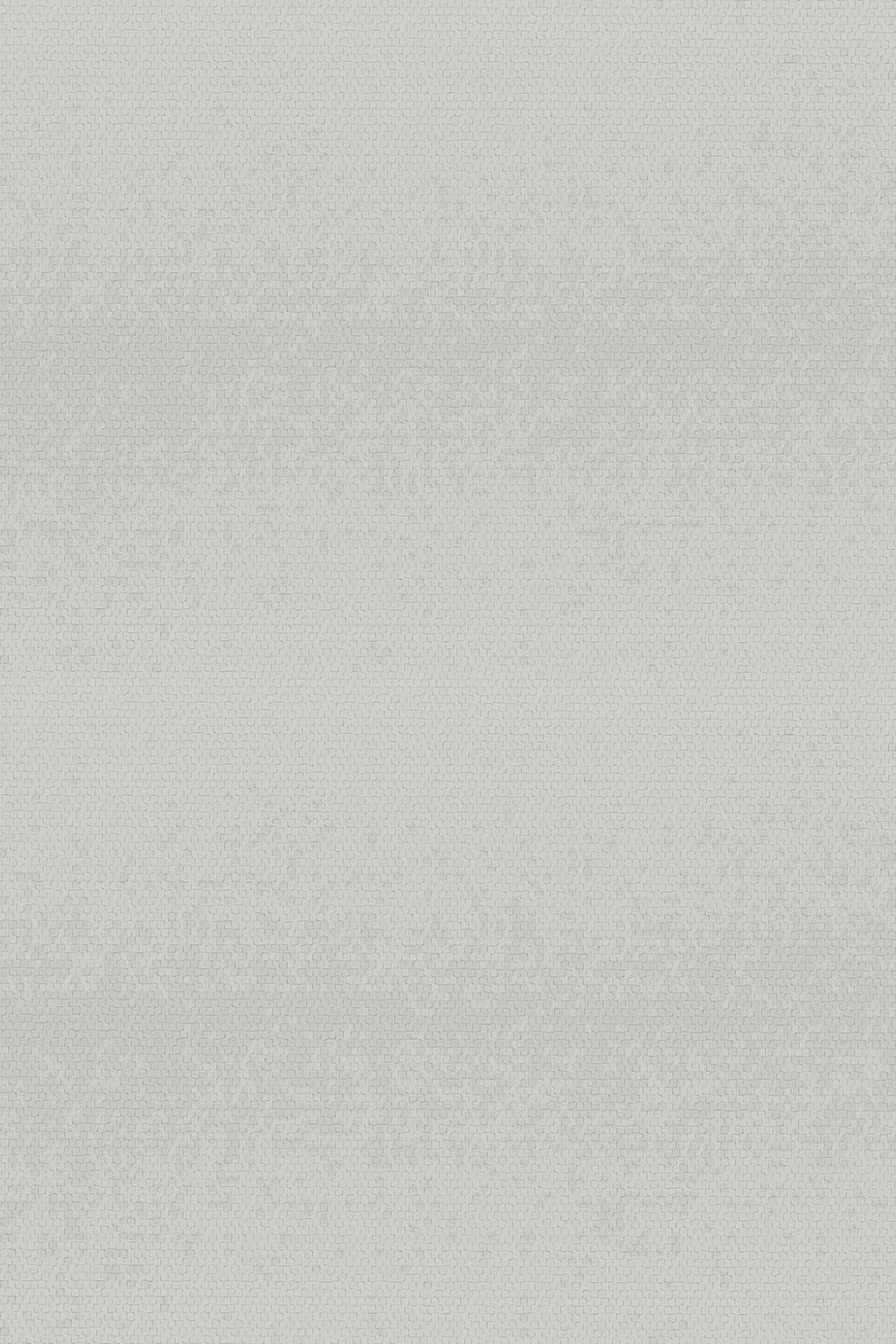 HookedOnWalls Passe Partout 2025 Tone on Tone Tone on Tone behang 4539Afbeelding 3