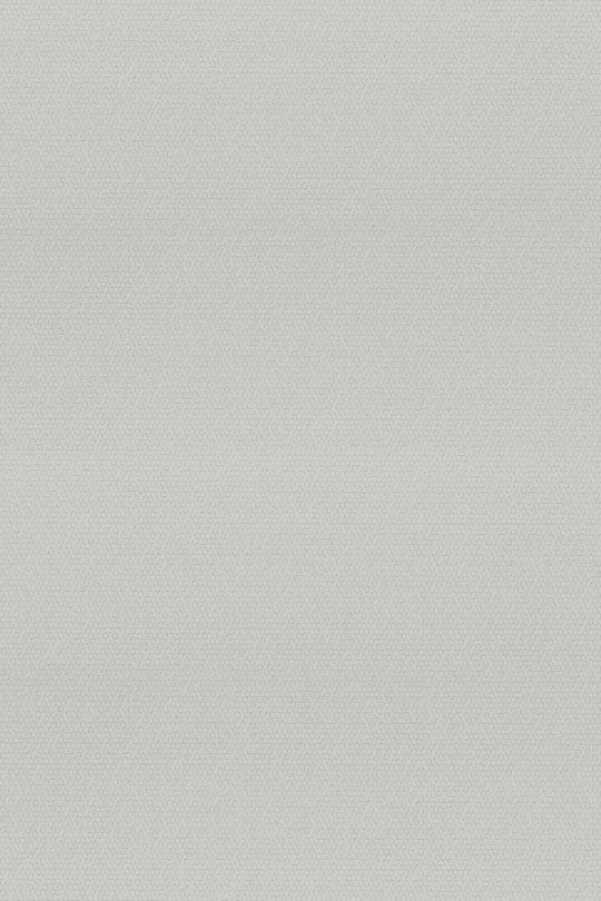 HookedOnWalls Passe Partout 2025 Tone on Tone Tone on Tone behang 4539Afbeelding 3