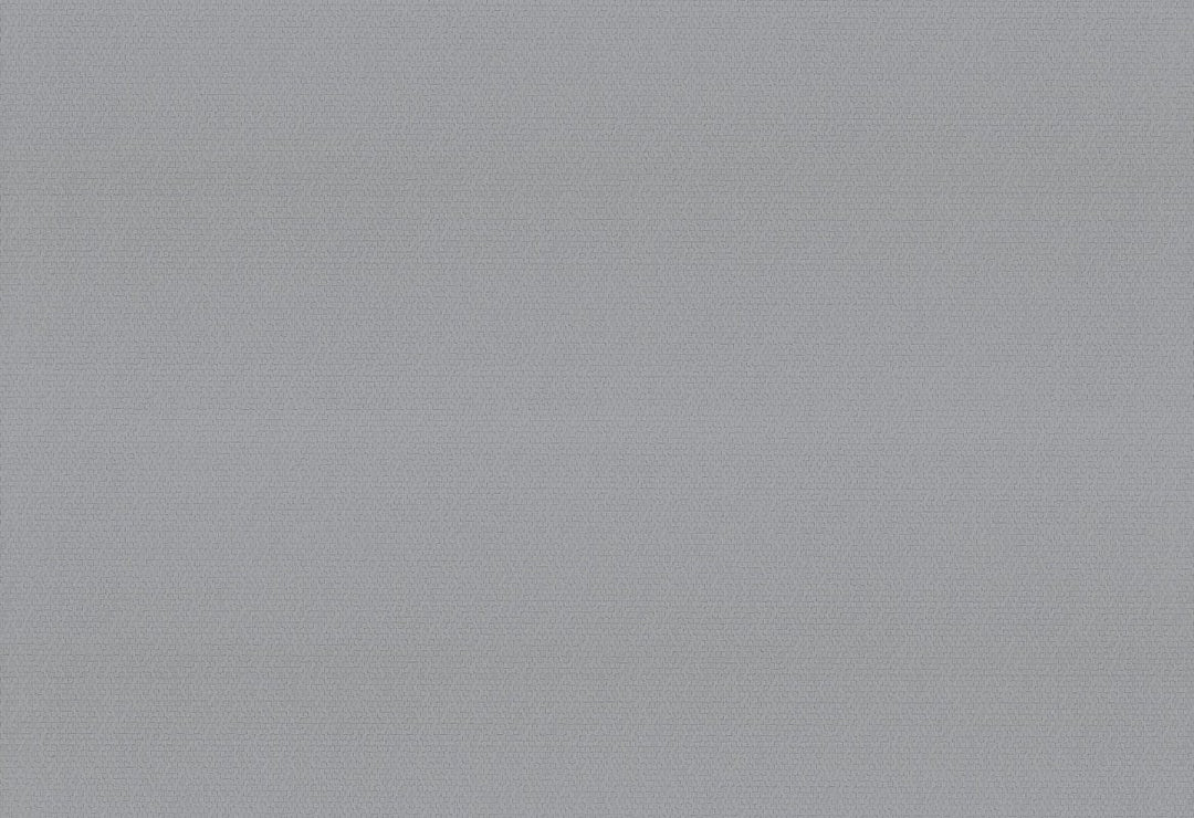 HookedOnWalls Passe Partout 2025 Tone on Tone Tone on Tone behang 4545Afbeelding 1