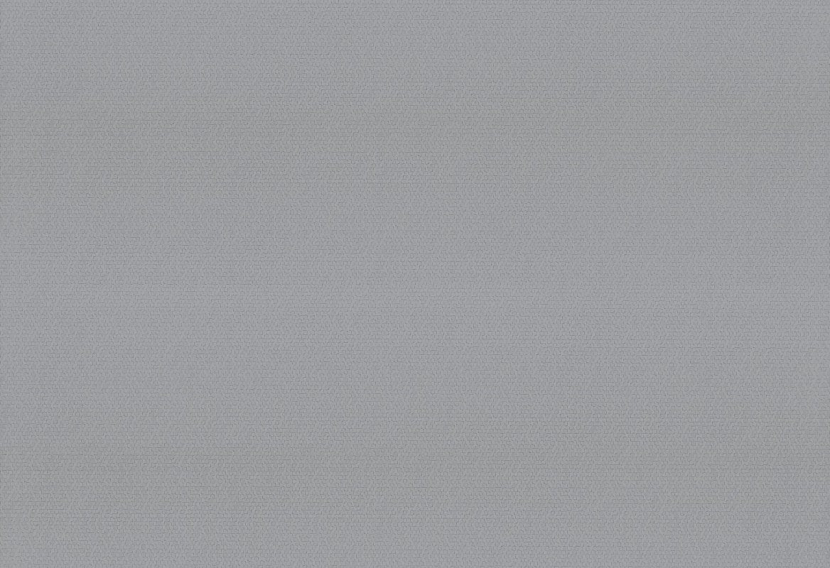 HookedOnWalls Passe Partout 2025 Tone on Tone Tone on Tone behang 4545Afbeelding 1