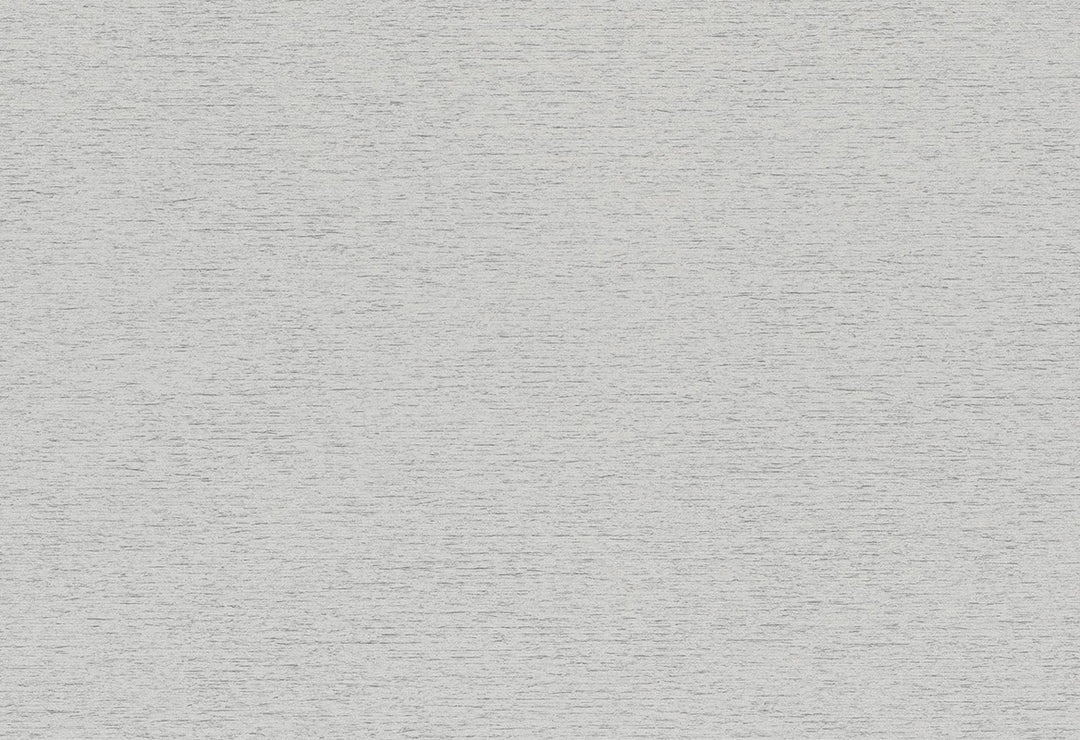HookedOnWalls Passe Partout 2025 Tone on Tone Tone on Tone behang 4548Afbeelding 1