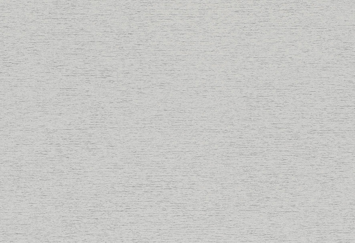 HookedOnWalls Passe Partout 2025 Tone on Tone Tone on Tone behang 4548Afbeelding 1