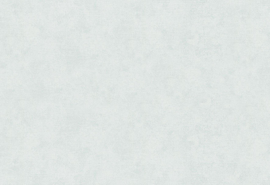 HookedOnWalls Passe Partout 2025 Tone on Tone Tone on Tone behang 4541Afbeelding 1