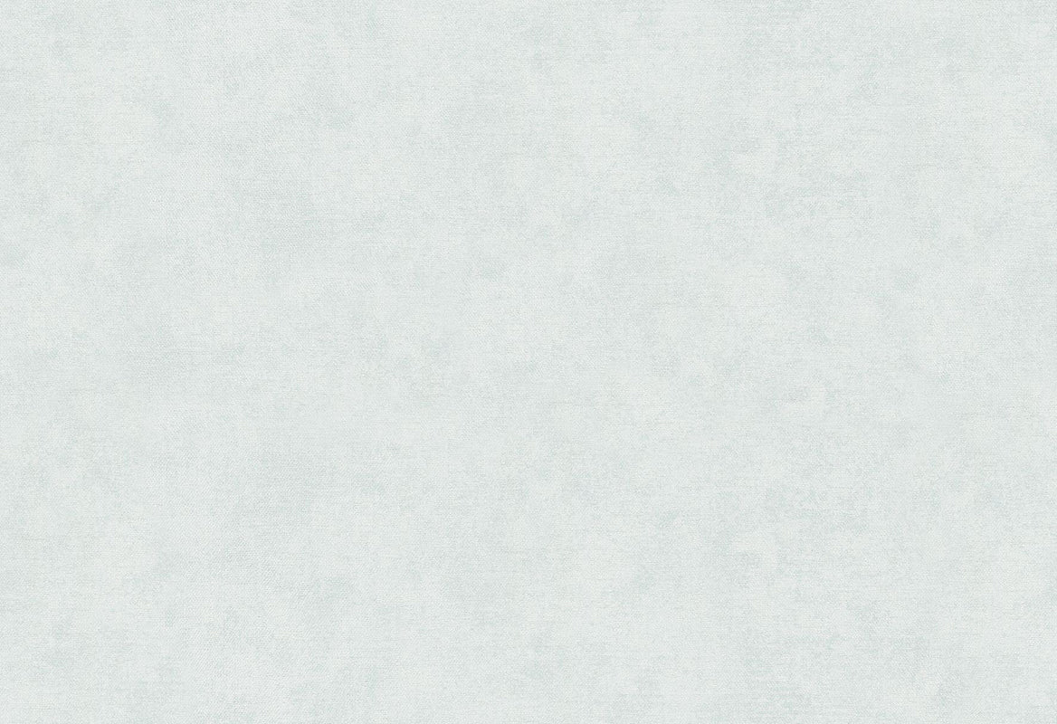 HookedOnWalls Passe Partout 2025 Tone on Tone Tone on Tone behang 4541Afbeelding 1