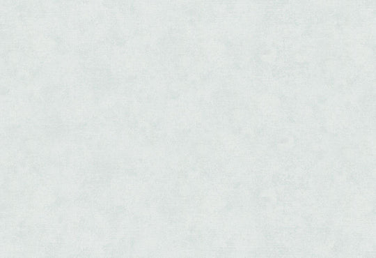 HookedOnWalls Passe Partout 2025 Tone on Tone Tone on Tone behang 4541Afbeelding 1