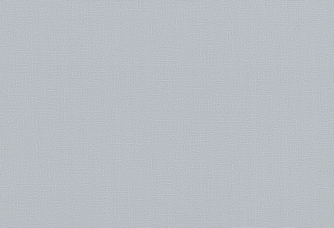 HookedOnWalls Passe Partout 2025 Tone on Tone Tone on Tone behang 4546Afbeelding 1