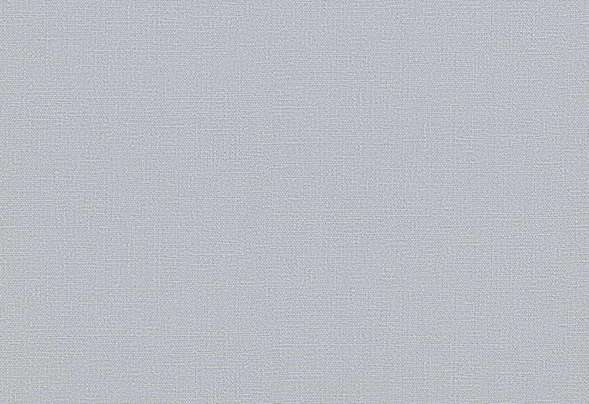 HookedOnWalls Passe Partout 2025 Tone on Tone Tone on Tone behang 4546Afbeelding 1