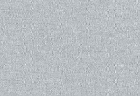 HookedOnWalls Passe Partout 2025 Tone on Tone Tone on Tone behang 4546Afbeelding 1