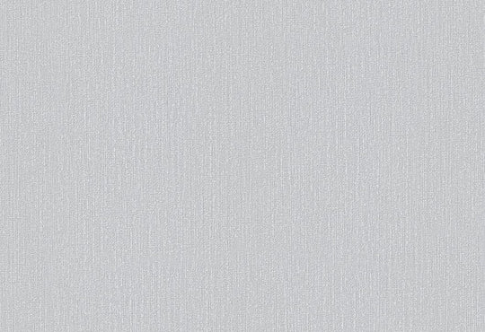 HookedOnWalls Passe Partout 2025 Tone on Tone Tone on Tone behang 4542Afbeelding 1