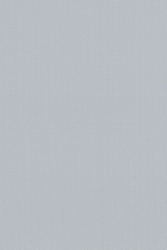 HookedOnWalls Passe Partout 2025 Tone on Tone Tone on Tone behang 4546Afbeelding 3