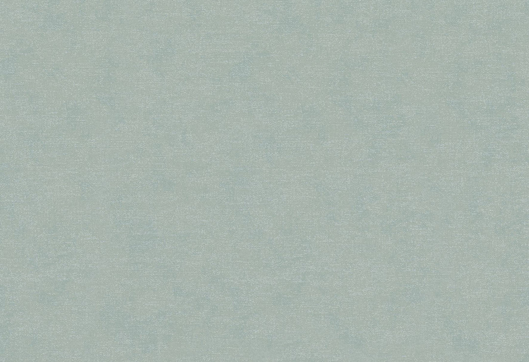 HookedOnWalls Passe Partout 2025 Tone on Tone Tone on Tone behang 4552Afbeelding 1