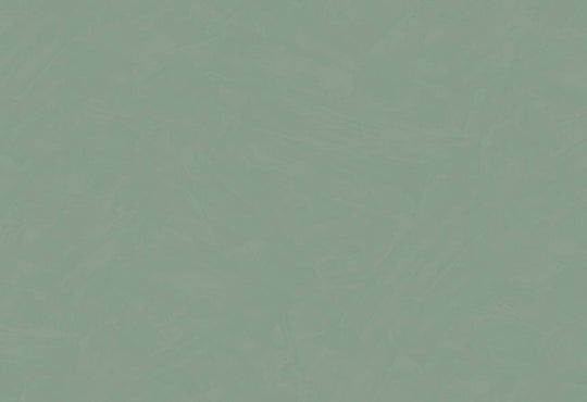 HookedOnWalls Passe Partout 2025 Tone on Tone Tone on Tone behang 4555Afbeelding 1