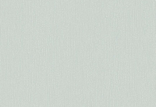 HookedOnWalls Passe Partout 2025 Tone on Tone Tone on Tone behang 4551Afbeelding 1