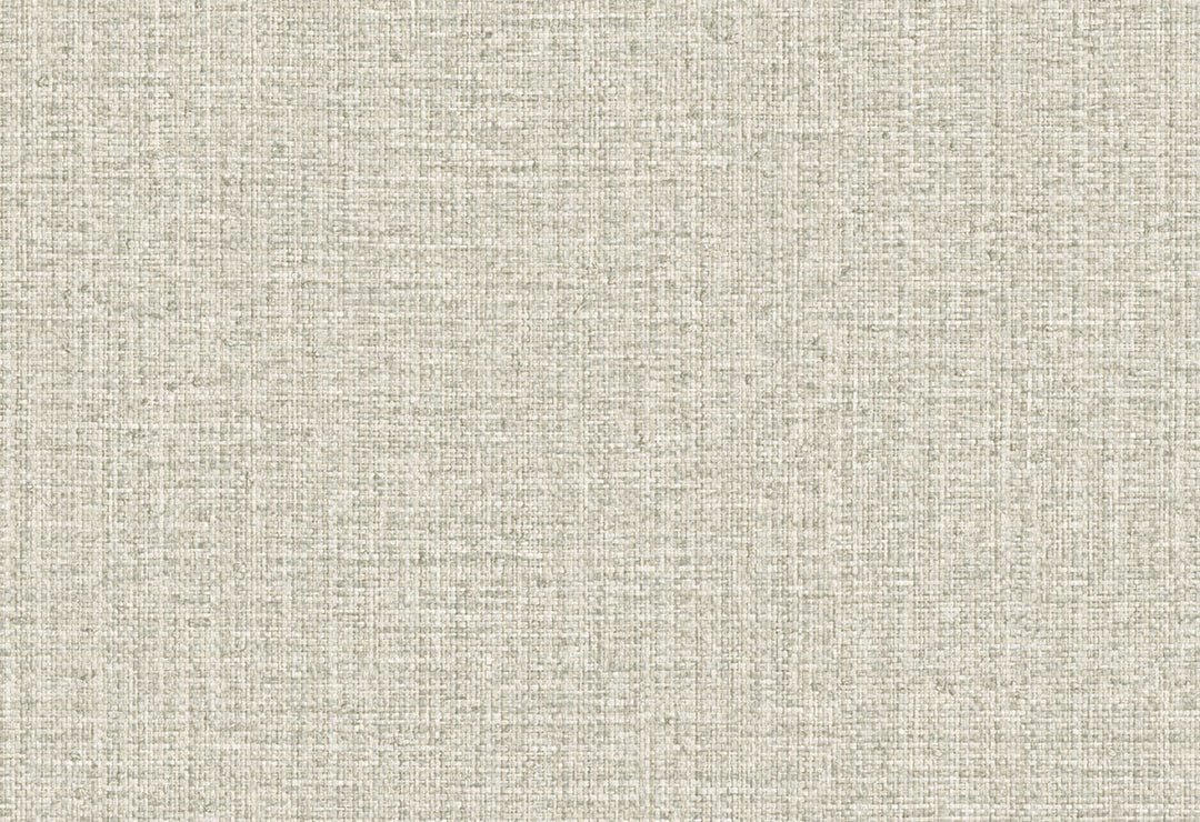 HookedOnWalls Passe Partout 2025 Tone on Tone Tone on Tone behang 4566Afbeelding 1