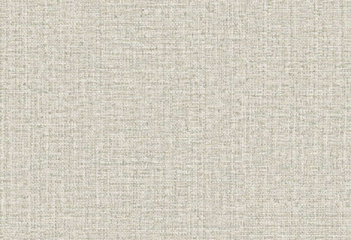 HookedOnWalls Passe Partout 2025 Tone on Tone Tone on Tone behang 4566Afbeelding 1