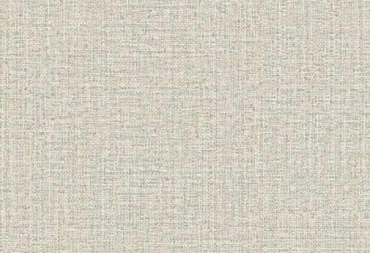 HookedOnWalls Passe Partout 2025 Tone on Tone Tone on Tone behang 4566Afbeelding 1