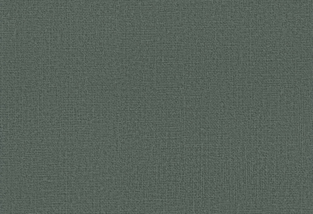 HookedOnWalls Passe Partout 2025 Tone on Tone Tone on Tone behang 4561Afbeelding 1