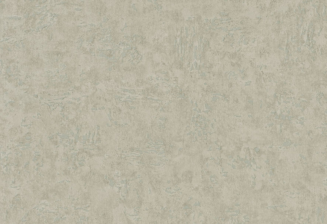 HookedOnWalls Passe Partout 2025 Tone on Tone Tone on Tone behang 4569Afbeelding 1