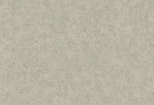 HookedOnWalls Passe Partout 2025 Tone on Tone Tone on Tone behang 4569Afbeelding 1