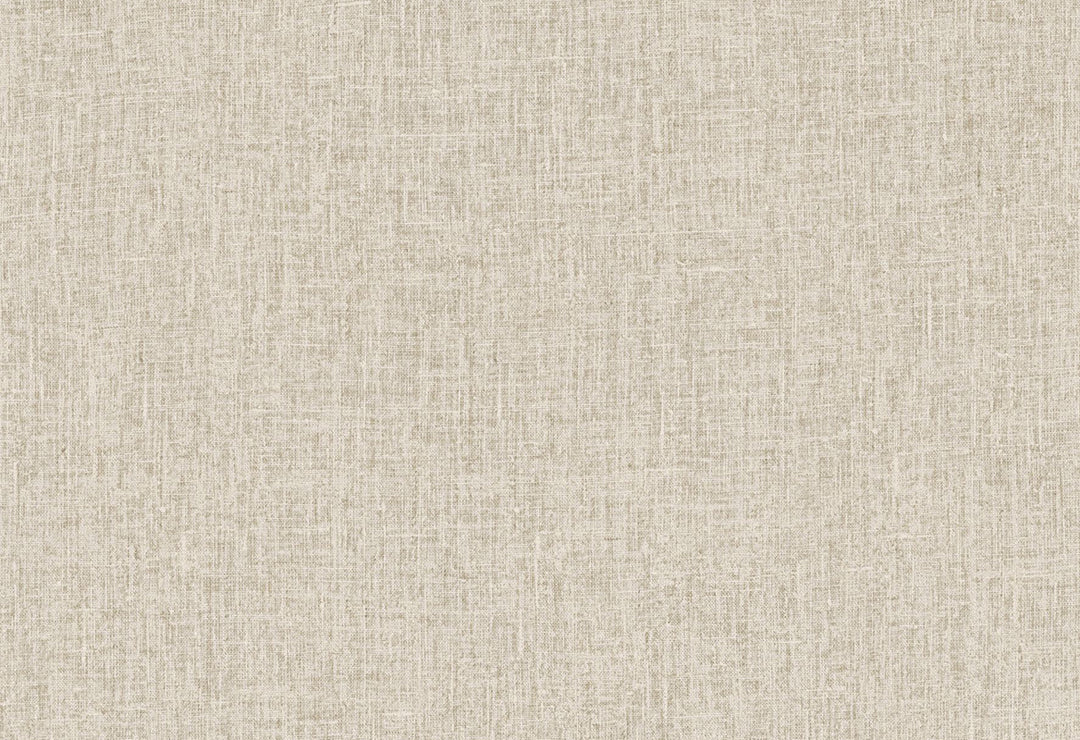 HookedOnWalls Passe Partout 2025 Tone on Tone Tone on Tone behang 4568Afbeelding 1