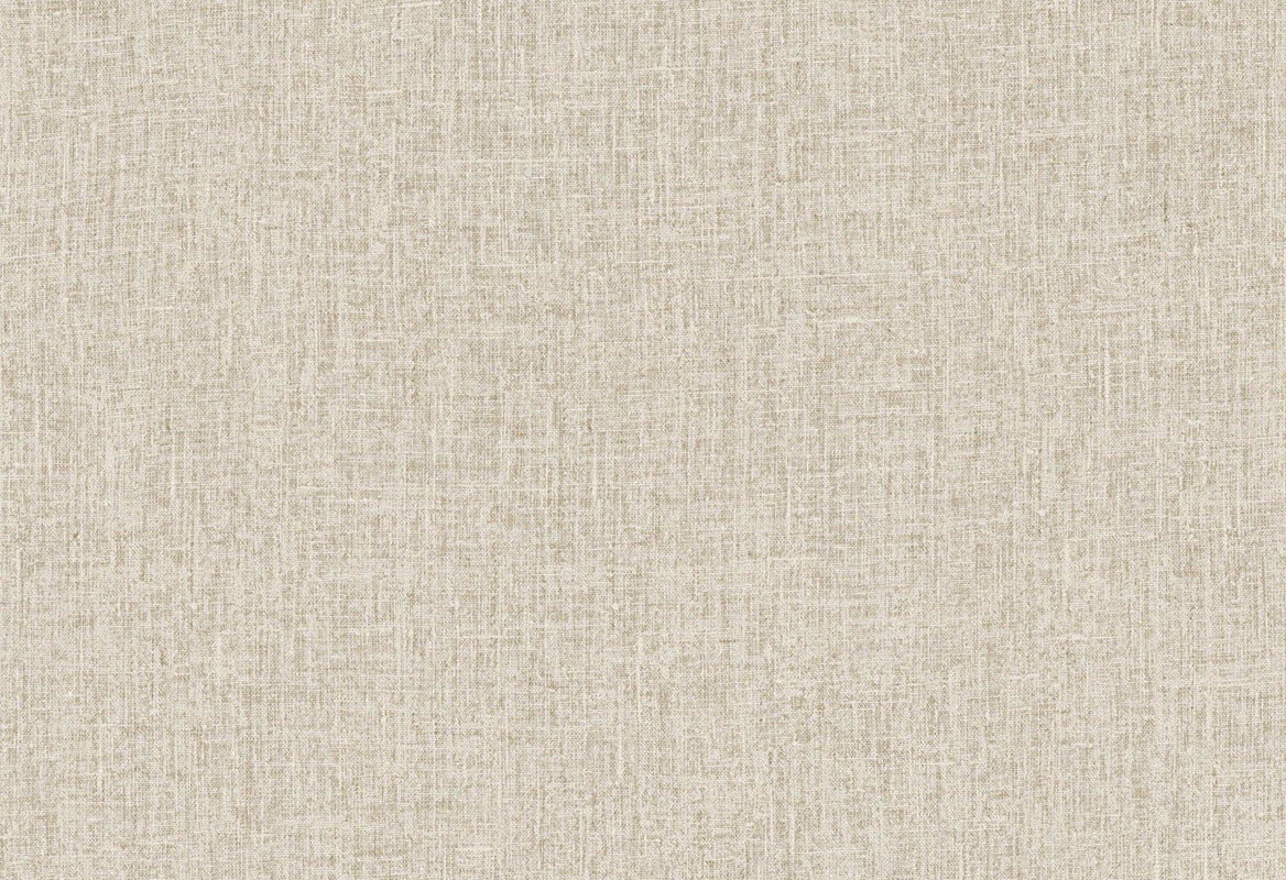 HookedOnWalls Passe Partout 2025 Tone on Tone Tone on Tone behang 4568Afbeelding 1