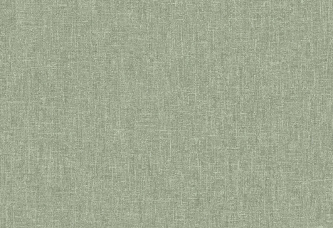HookedOnWalls Passe Partout 2025 Tone on Tone Tone on Tone behang 4565Afbeelding 1