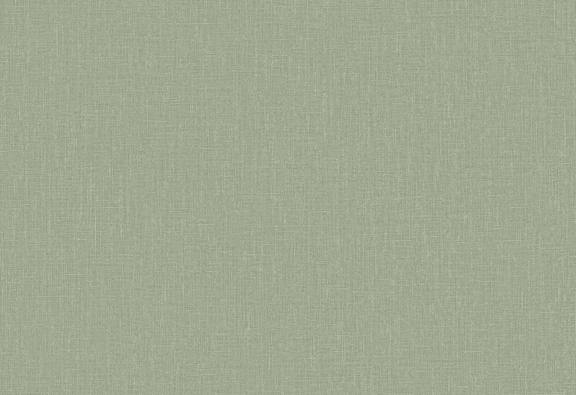 HookedOnWalls Passe Partout 2025 Tone on Tone Tone on Tone behang 4565Afbeelding 1