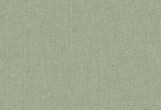 HookedOnWalls Passe Partout 2025 Tone on Tone Tone on Tone behang 4565Afbeelding 1