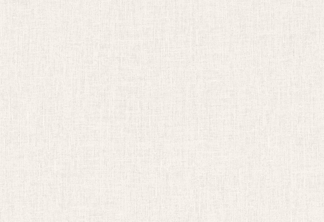 HookedOnWalls Passe Partout 2025 Tone on Tone Tone on Tone behang 4564Afbeelding 1