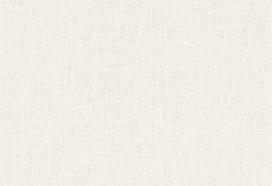 HookedOnWalls Passe Partout 2025 Tone on Tone Tone on Tone behang 4564Afbeelding 1