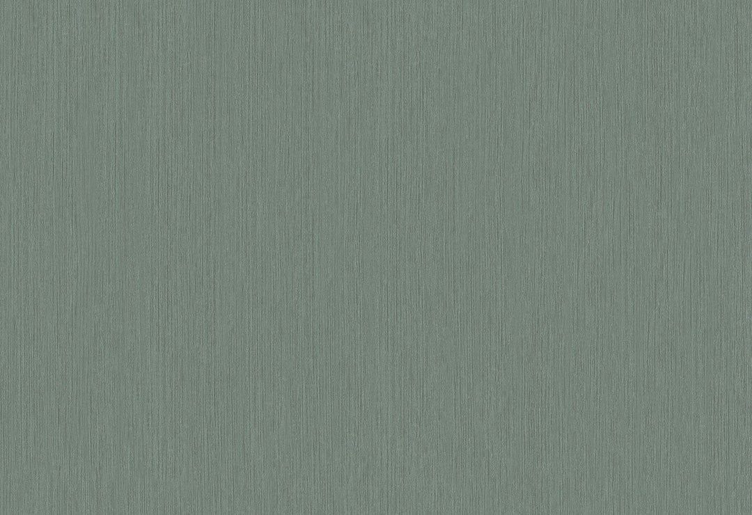 HookedOnWalls Passe Partout 2025 Tone on Tone Tone on Tone behang 4560Afbeelding 1