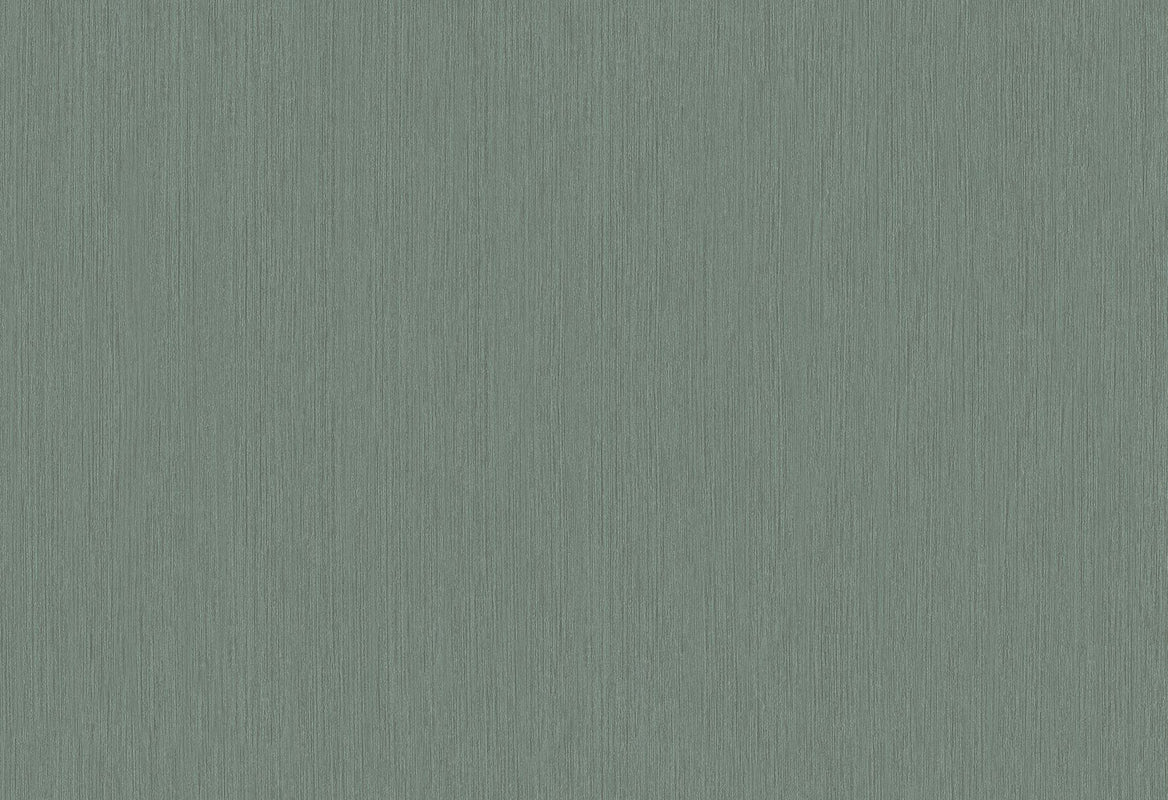 HookedOnWalls Passe Partout 2025 Tone on Tone Tone on Tone behang 4560Afbeelding 1