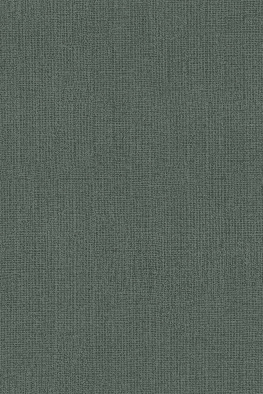 HookedOnWalls Passe Partout 2025 Tone on Tone Tone on Tone behang 4561Afbeelding 3