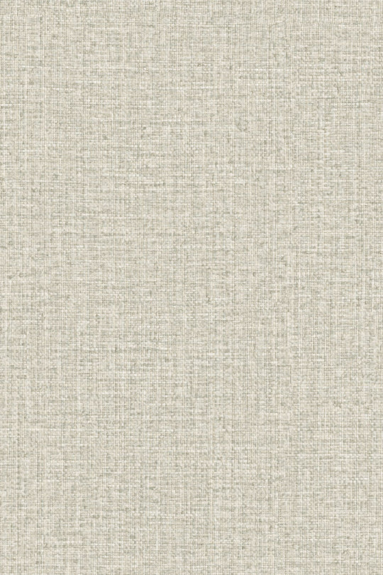 HookedOnWalls Passe Partout 2025 Tone on Tone Tone on Tone behang 4566Afbeelding 3