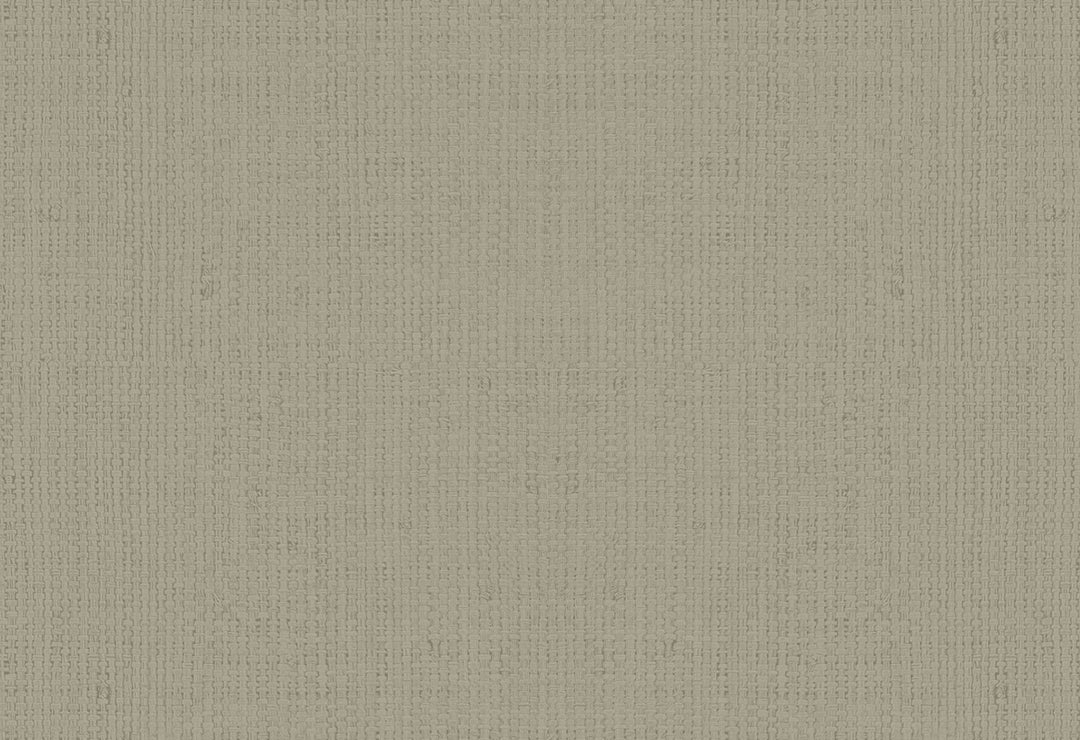 HookedOnWalls Passe Partout 2025 Tone on Tone Tone on Tone behang 4572Afbeelding 1