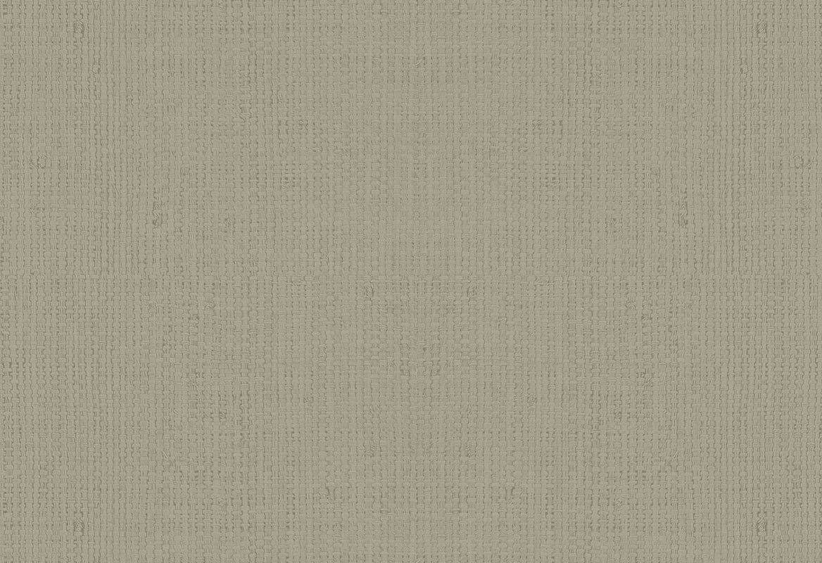 HookedOnWalls Passe Partout 2025 Tone on Tone Tone on Tone behang 4572Afbeelding 1