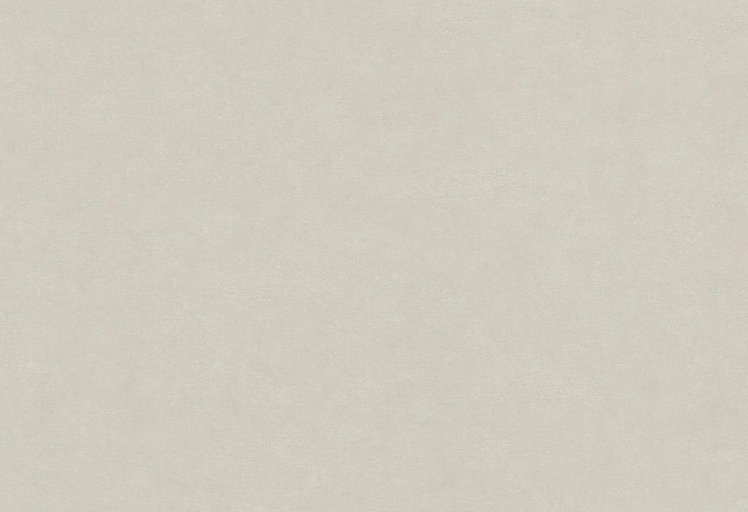 HookedOnWalls Passe Partout 2025 Tone on Tone Tone on Tone behang 4570Afbeelding 1