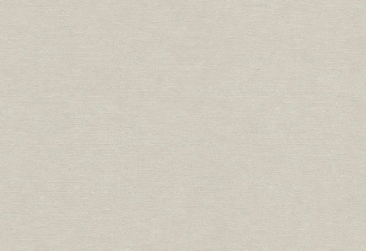 HookedOnWalls Passe Partout 2025 Tone on Tone Tone on Tone behang 4570Afbeelding 1