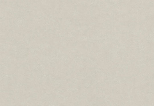 HookedOnWalls Passe Partout 2025 Tone on Tone Tone on Tone behang 4570Afbeelding 1