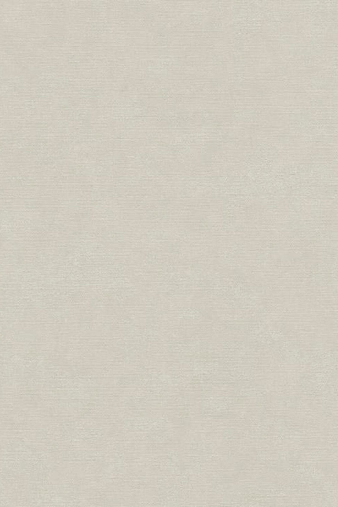 HookedOnWalls Passe Partout 2025 Tone on Tone Tone on Tone behang 4570Afbeelding 3